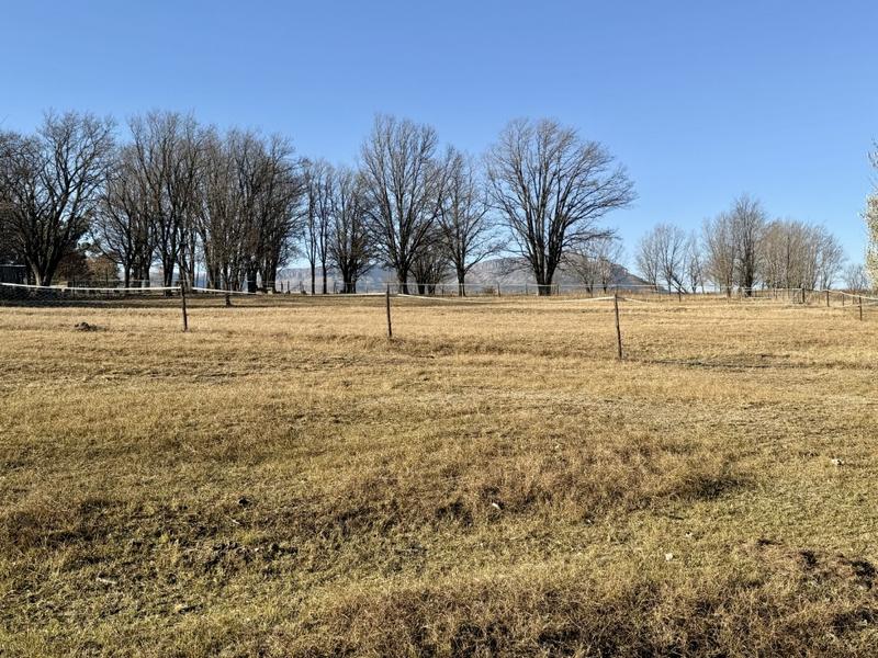 0 Bedroom Property for Sale in Harrismith Free State